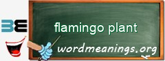 WordMeaning blackboard for flamingo plant